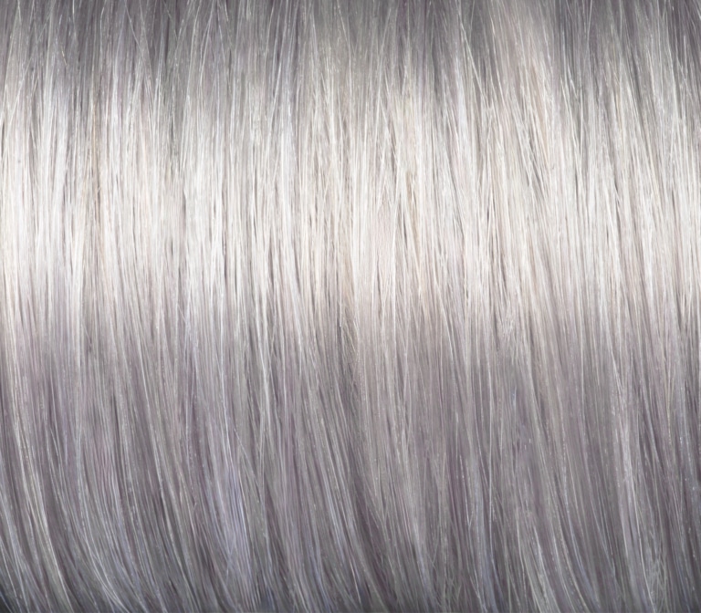 Hair in the colour Platinum Grey